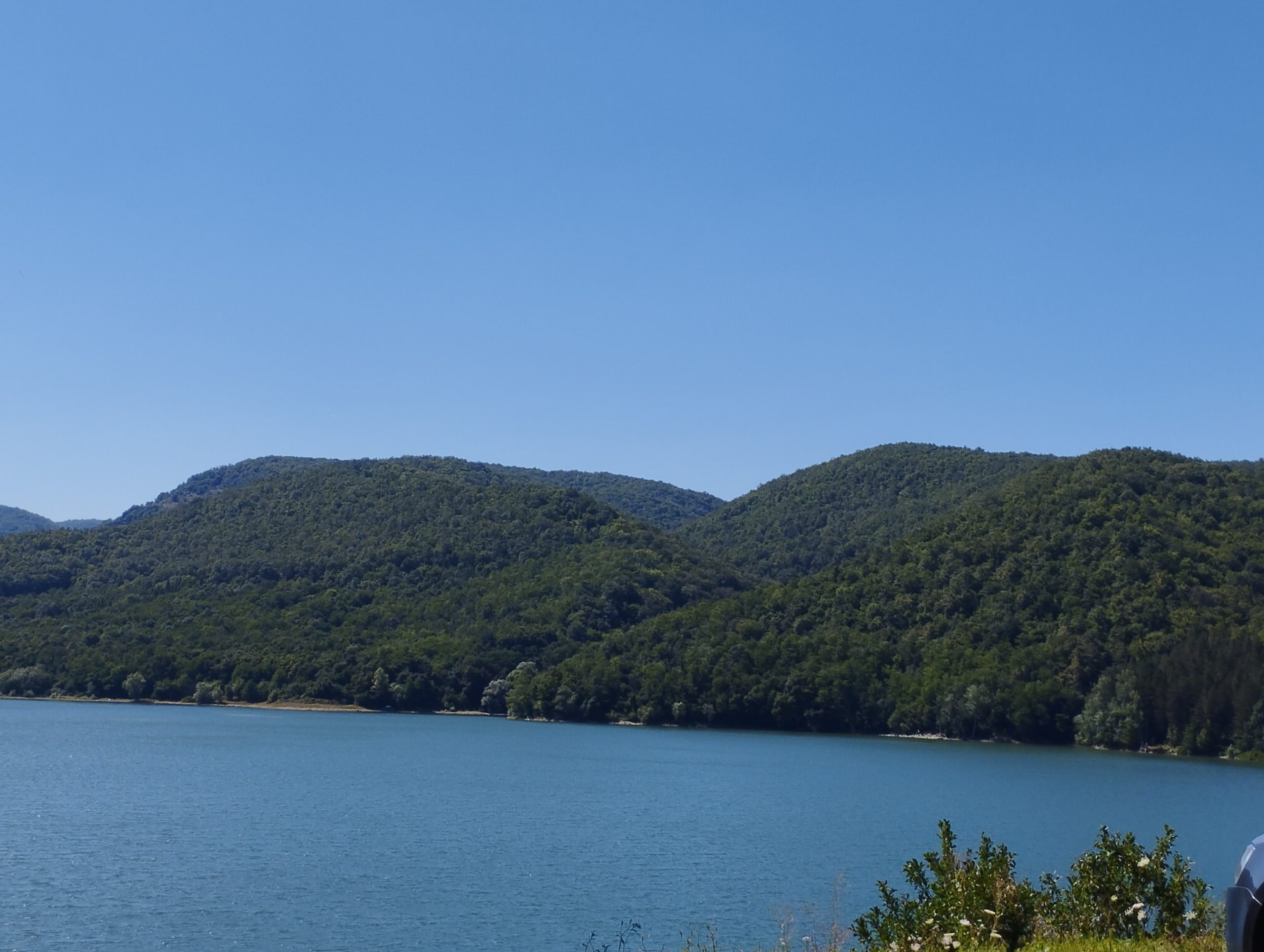Vand padure pe malul Lacului Cincis, zona de agrement la 10 km de Hunedoarasi 30 km de Deva