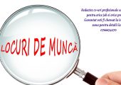 Cv profesional & Scrisoare de intentie