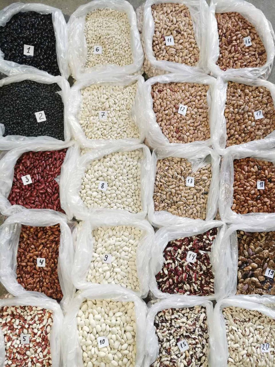 Premium Beans from Ukraine
