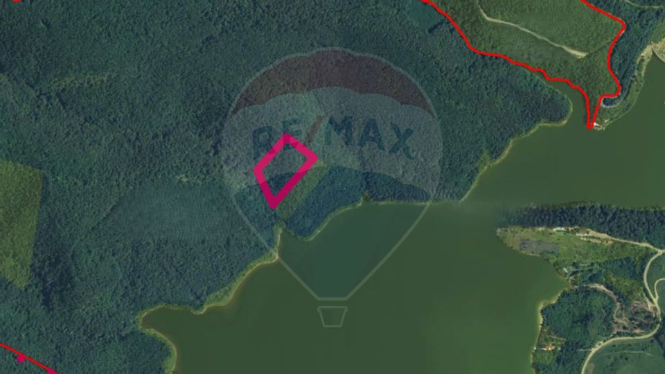 Vand padure pe malul Lacului Cincis, zona de agrement la 10 km de Hunedoarasi 30 km de Deva