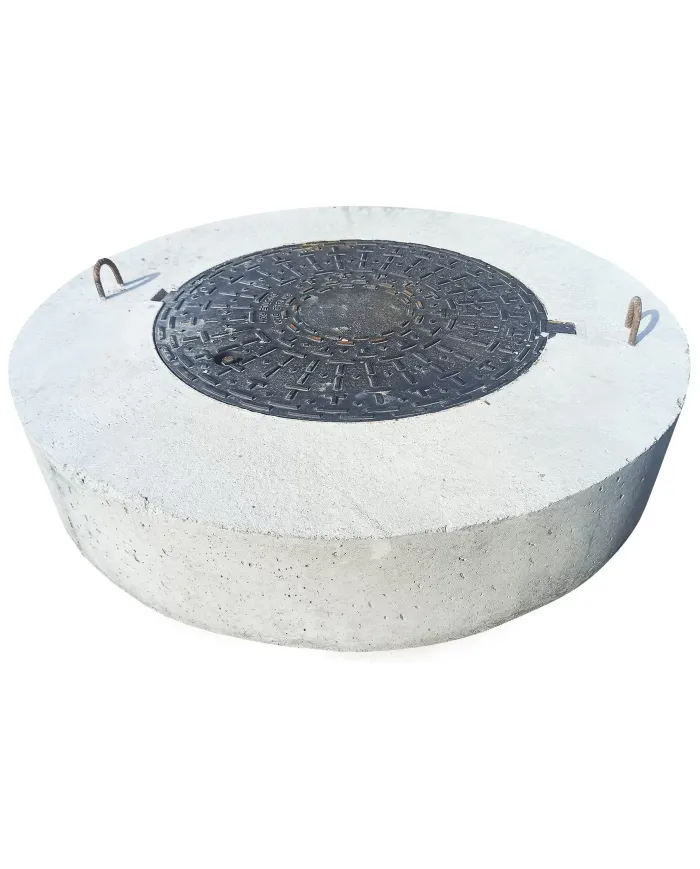 Camine si capace din beton