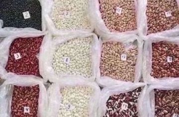 квасолягуртом