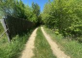 Vând teren, La soare, pădurea Șchullerwald, Str. Uranus, Bistrița.