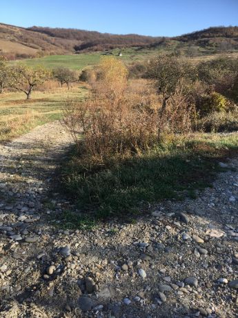 Vând teren intravilan,10 ari, Dumitra, Bistrița.