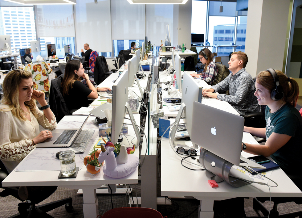 Realizare Planuri de Afaceri & Studii de Fezabilitate