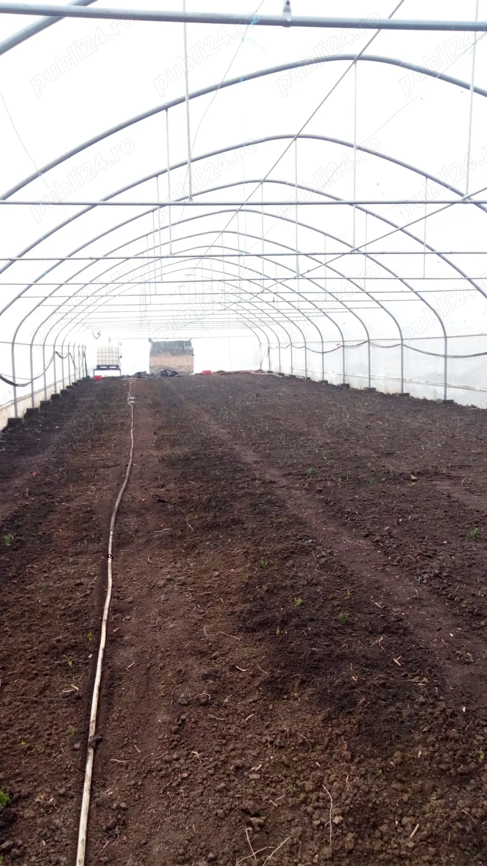 De vanzare structura solar 600 mp