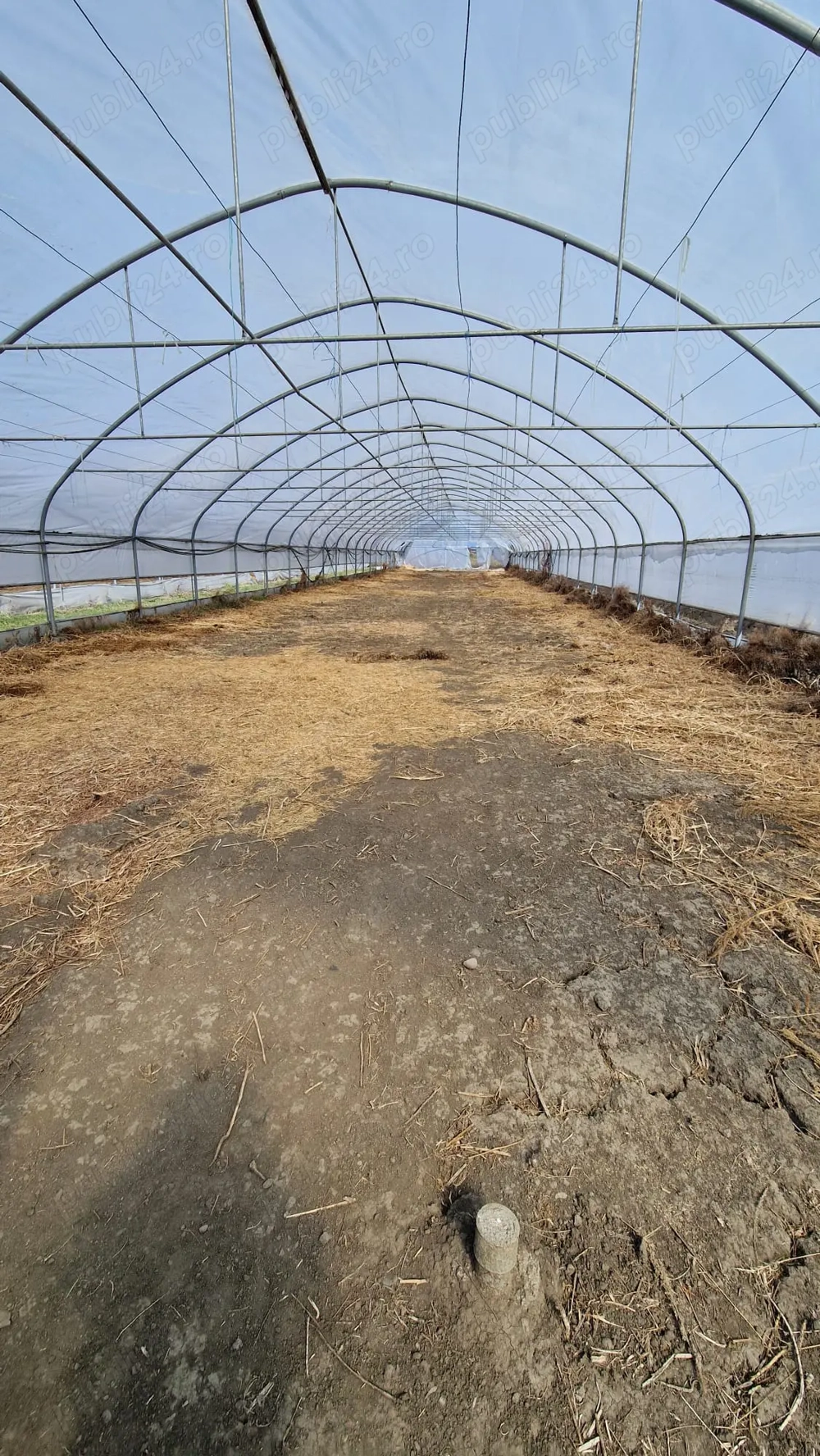 De vanzare structura solar 600 mp