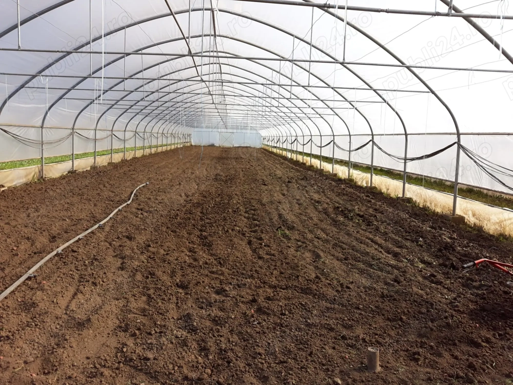 De vanzare structura solar 600 mp