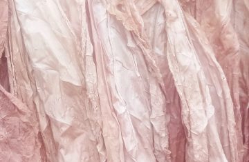 Screenshot_2026-02-19-08-41-31-594_com.miui_.gallery