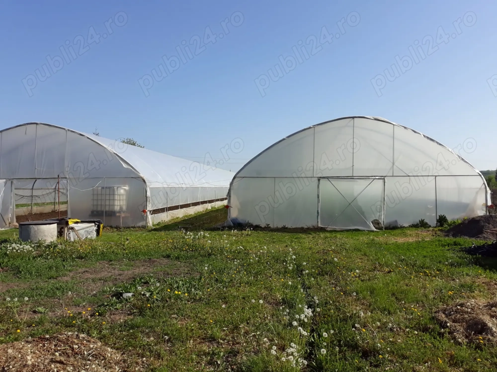 De vanzare structura solar 600 mp