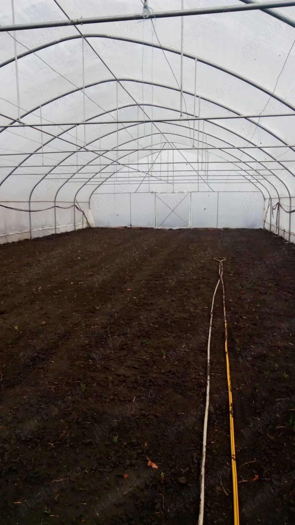 De vanzare structura solar 600 mp