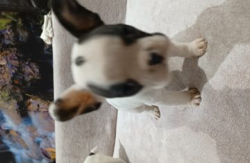 IMG_20260312_180521699