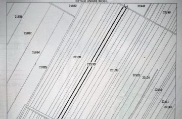 IMG_20260322_100702-mic