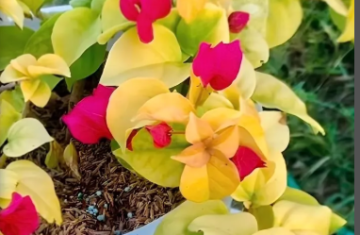 Screenshot-2026-03-09-225236