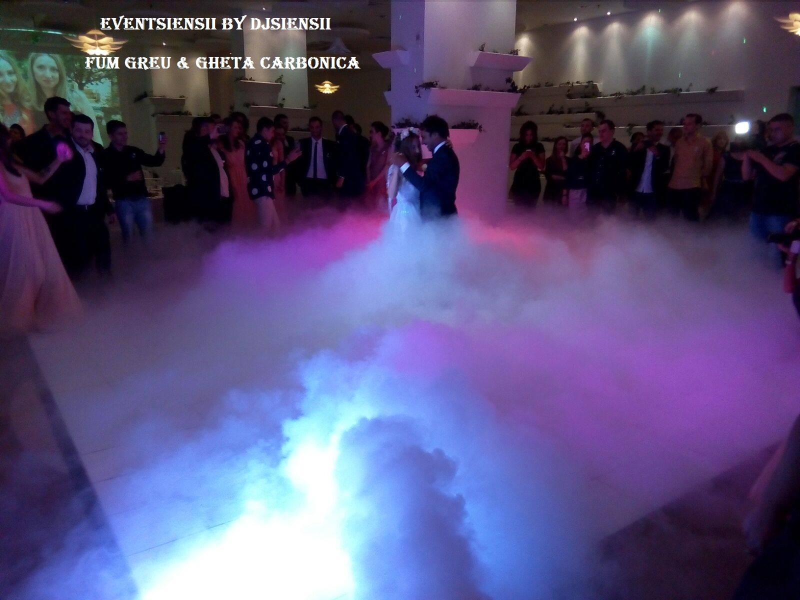 dj nunta ,dj botez dj siensii