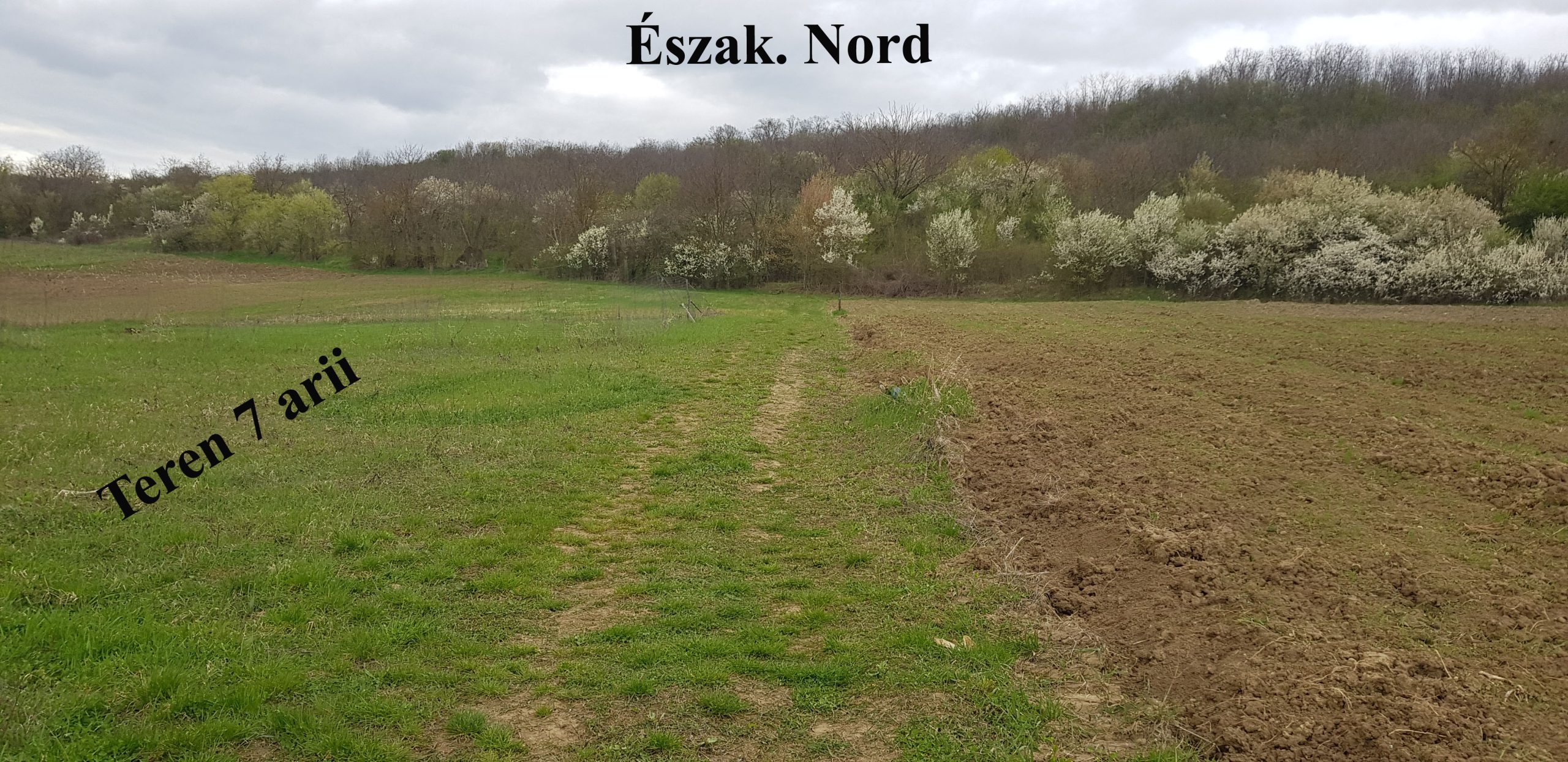 Teren intravilan 7 arii, poziționat însorit, cu priveliște excepțională!