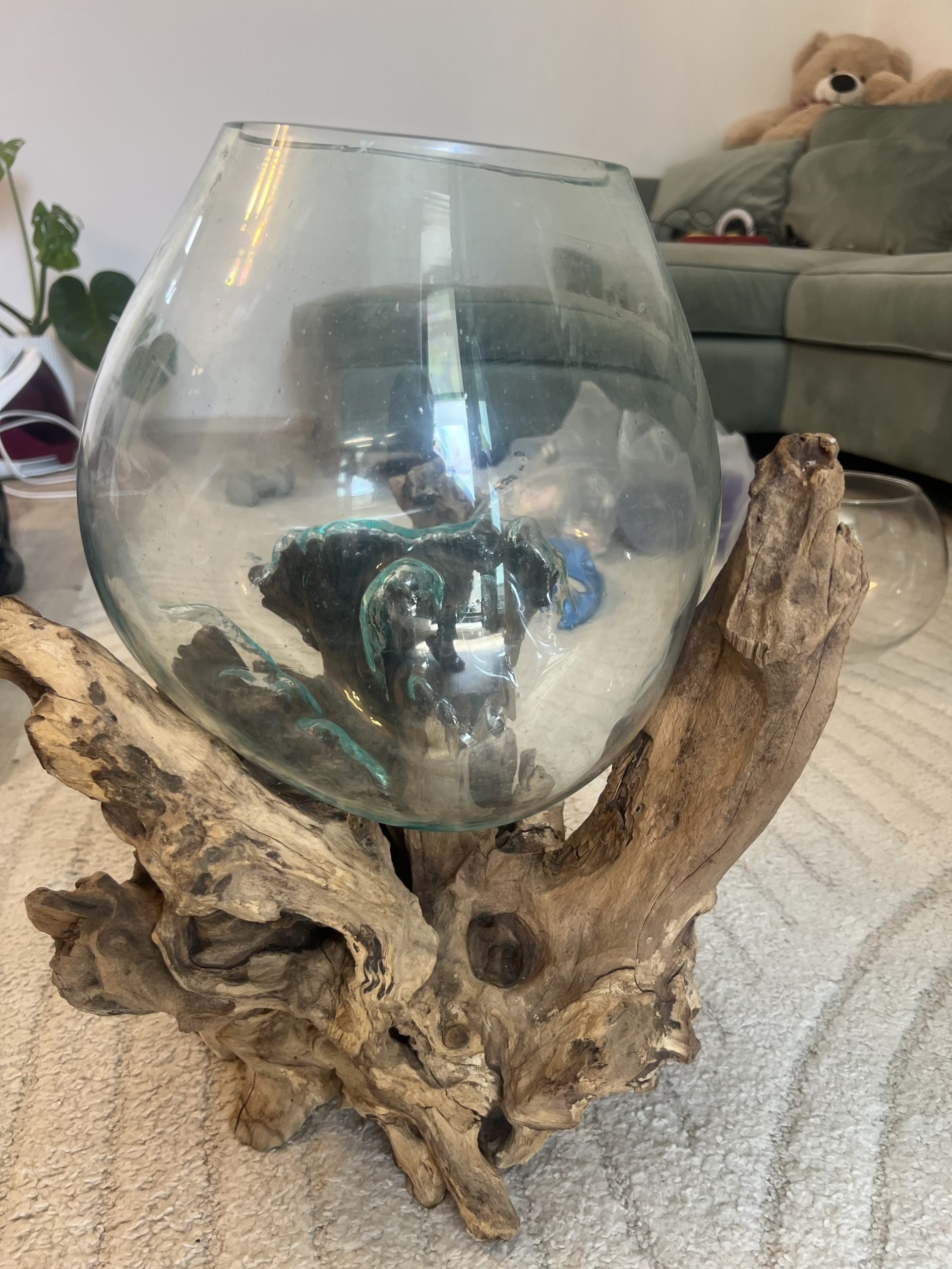 Acvariu pesti tip bali