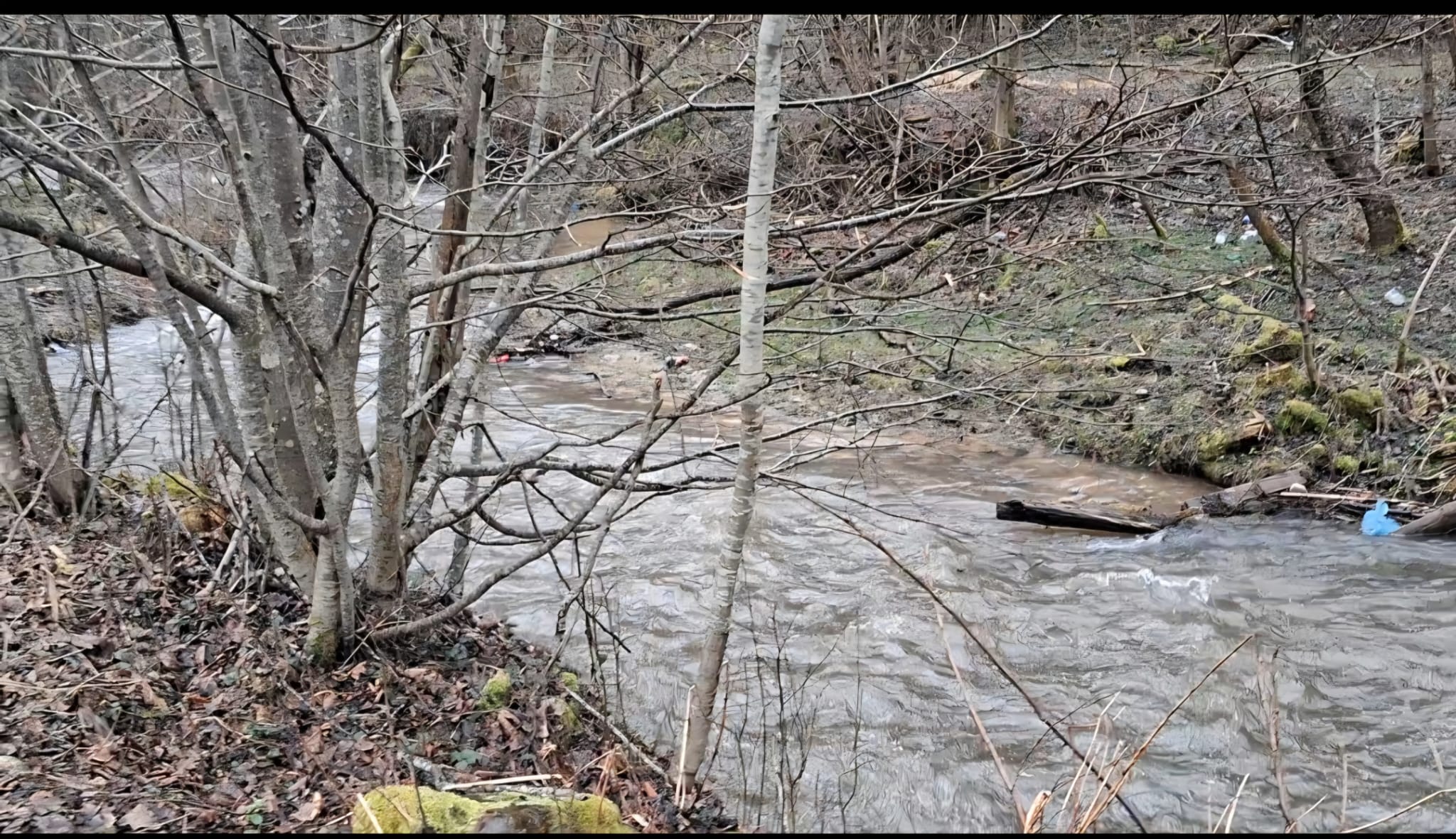 Proprietate exclusivă – Teren premium în Valea Ierii,intravilan Cluj