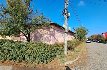 WhatsApp-Image-2026-04-06-at-08.44.43