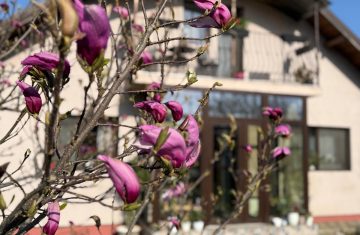 WhatsApp-Image-2026-04-17-at-08.42.07-9-1