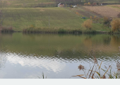 Teren intravilan cu front la lac
