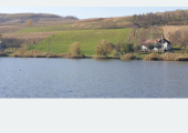 Teren intravilan cu front la lac