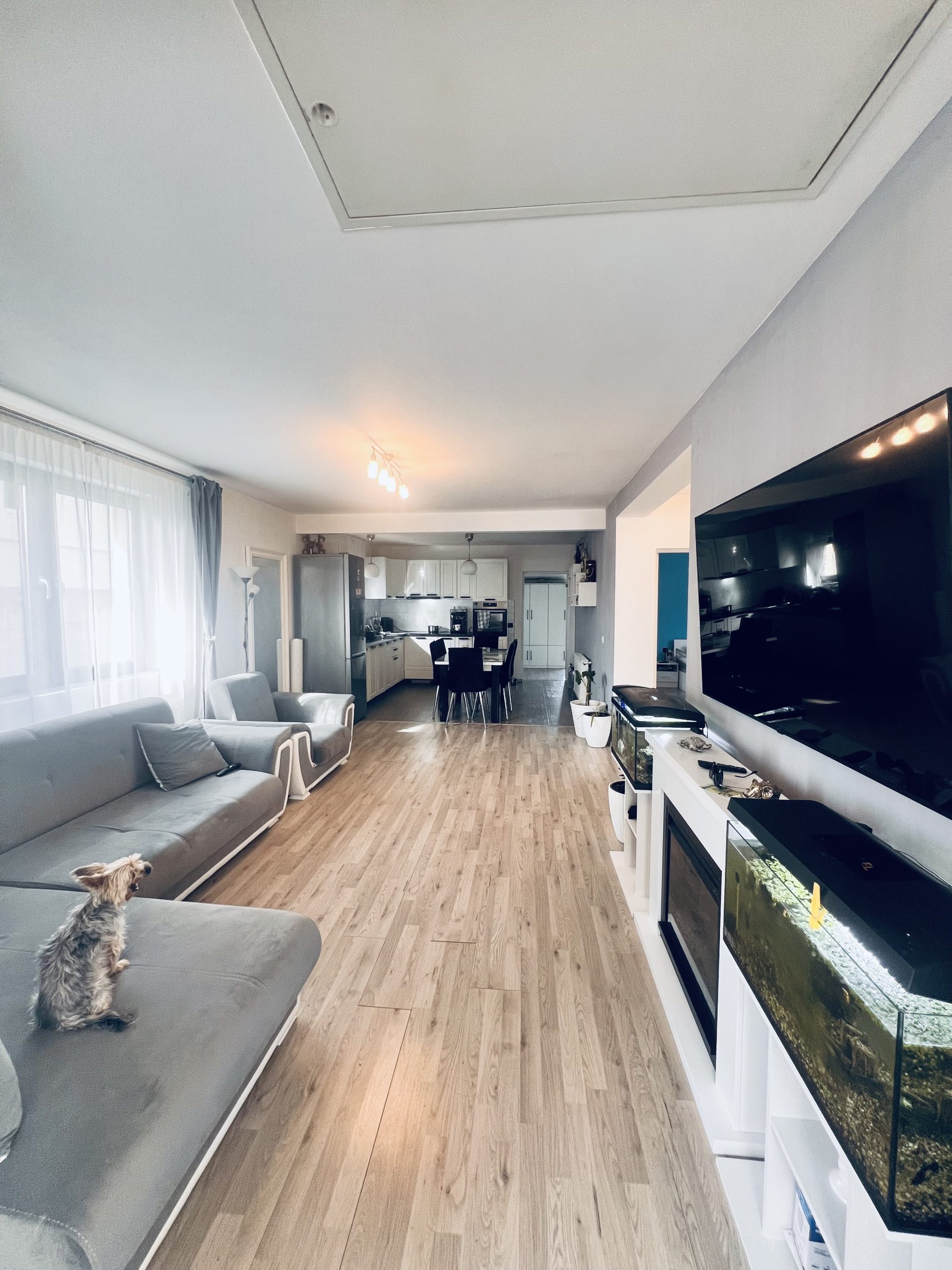 Casa individuala mobilata