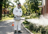 DDD Biodera Dezinsectie dezinfecție deratizare