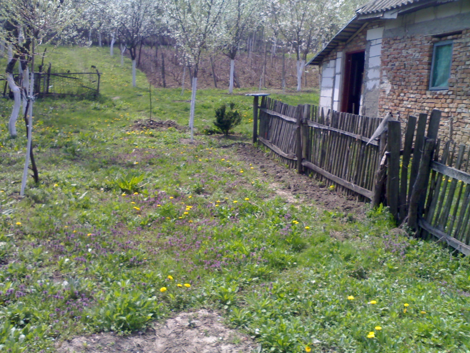 Vand Teren sat Baila, Leordeni, Arges