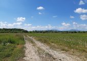 Teren agricol extravilan Podu Oltului la limita UAT Harman si UAT Prejmer Brasov