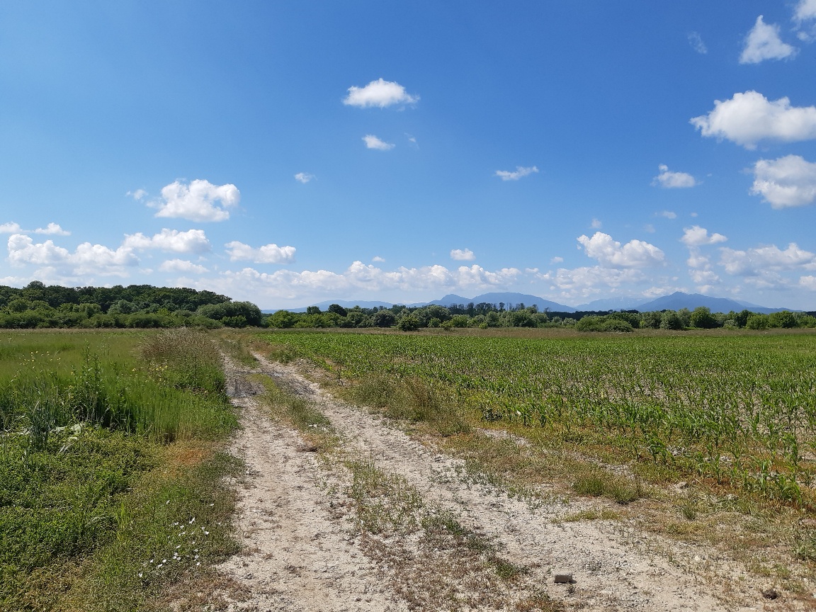 Teren agricol extravilan Podu Oltului la limita UAT Harman si UAT Prejmer Brasov