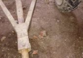 Vand urgent căruță cu proțap