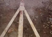 Vand urgent căruță cu proțap