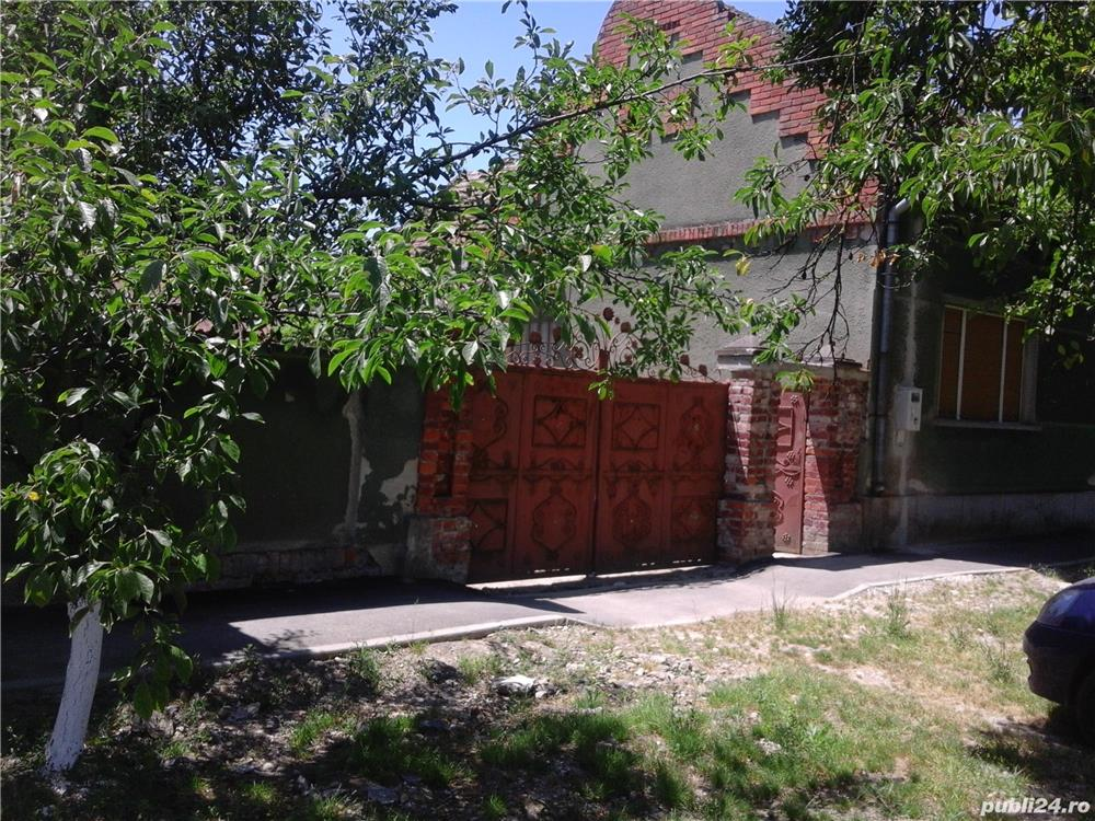 De vanzare doua case in Belint Timis