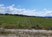 Teren agricol extravilan Podu Oltului la limita UAT Harman si UAT Prejmer Brasov