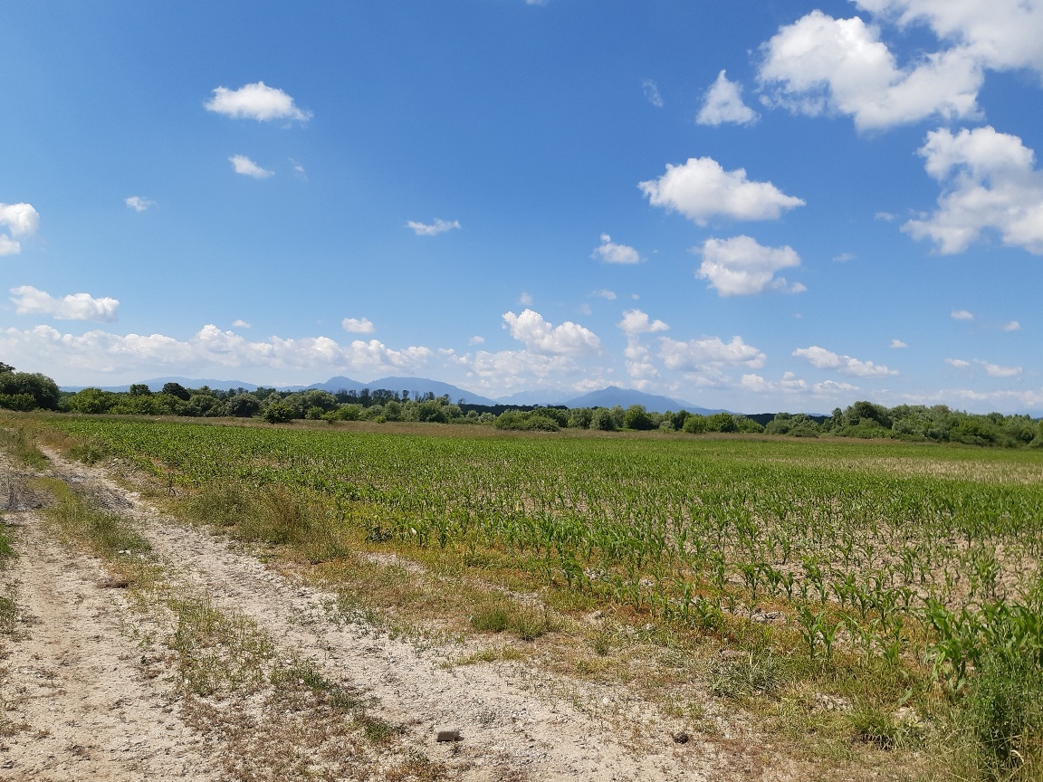 Teren agricol extravilan Podu Oltului la limita UAT Harman si UAT Prejmer Brasov