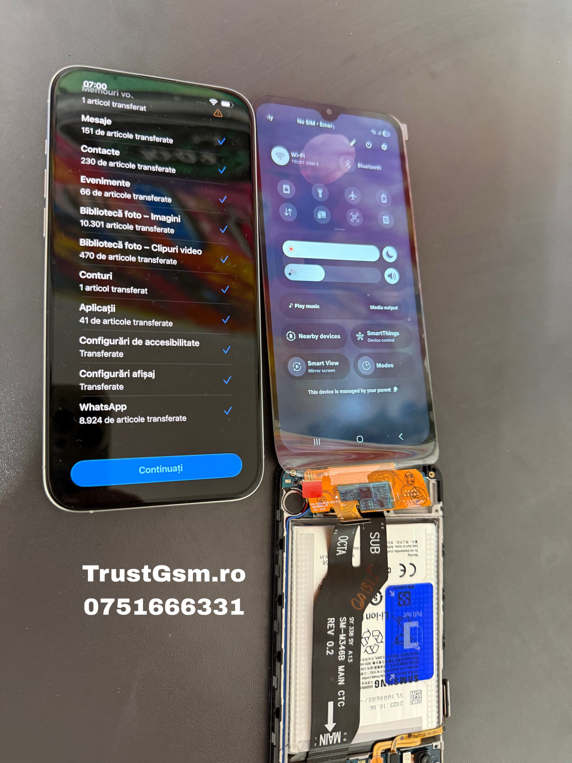 Service Telefoane GSM Timisoara