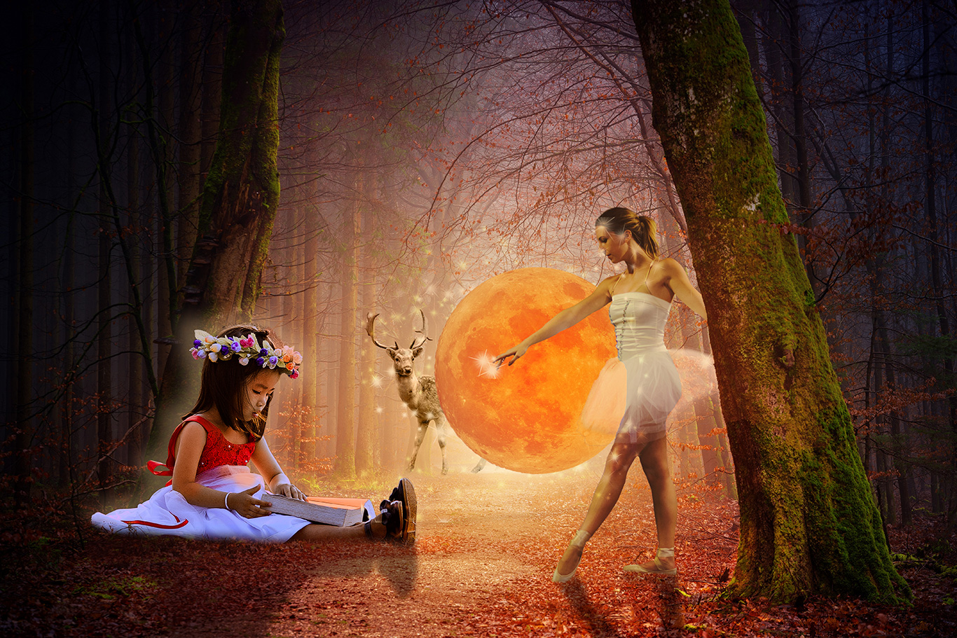 Curs Adobe Photoshop CREATIV