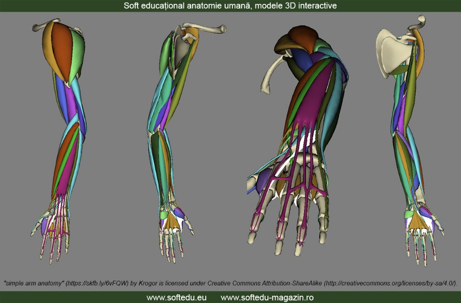 Soft educațional anatomie umană