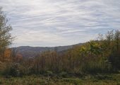 Teren 2500 mp Vitioara de Sus, Prahova