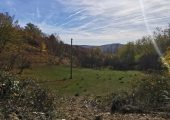 Teren intravilan 2500 Prahova, Vitioara de Sus