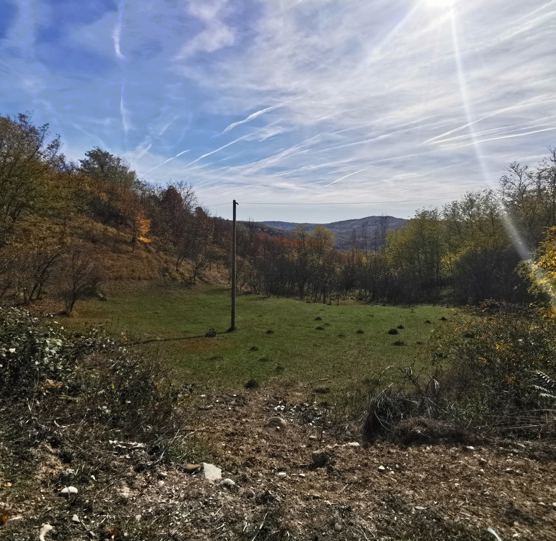 Teren 2500 mp Vitioara de Sus, Prahova