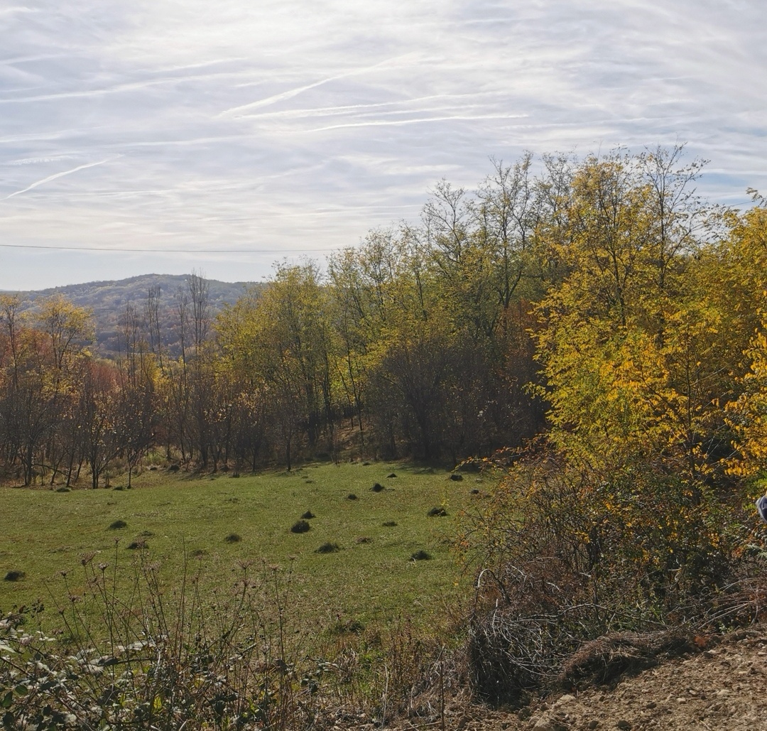Teren intravilan 2500 Prahova, Vitioara de Sus