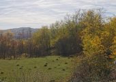 Teren 2500 mp Vitioara de Sus, Prahova