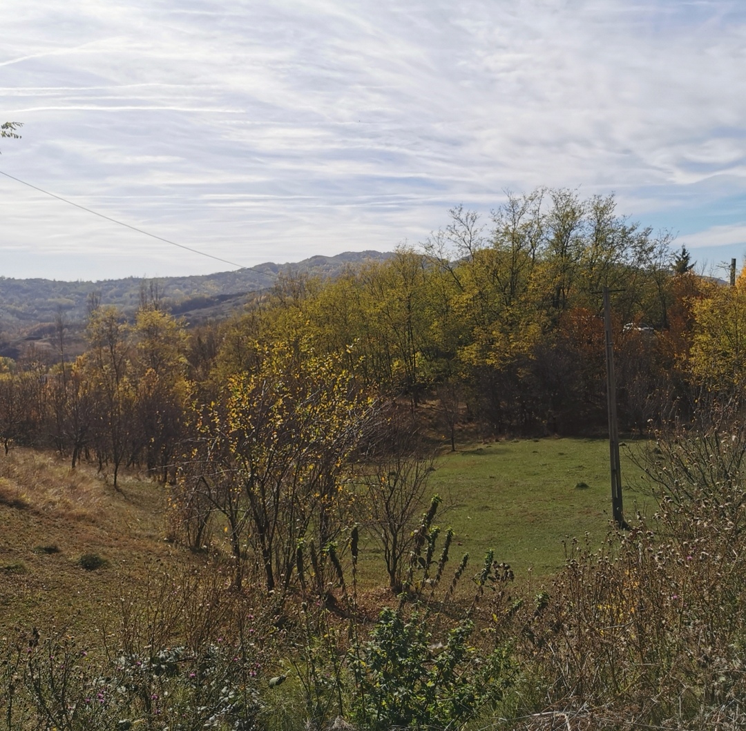 Teren intravilan 2500 Prahova, Vitioara de Sus
