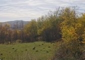 Teren 2500 mp Vitioara de Sus, Prahova