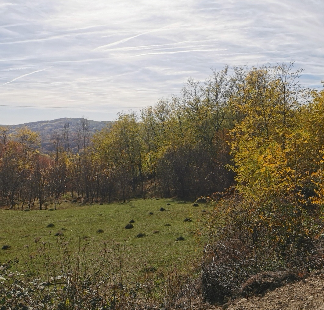 Teren 2500 mp Vitioara de Sus, Prahova
