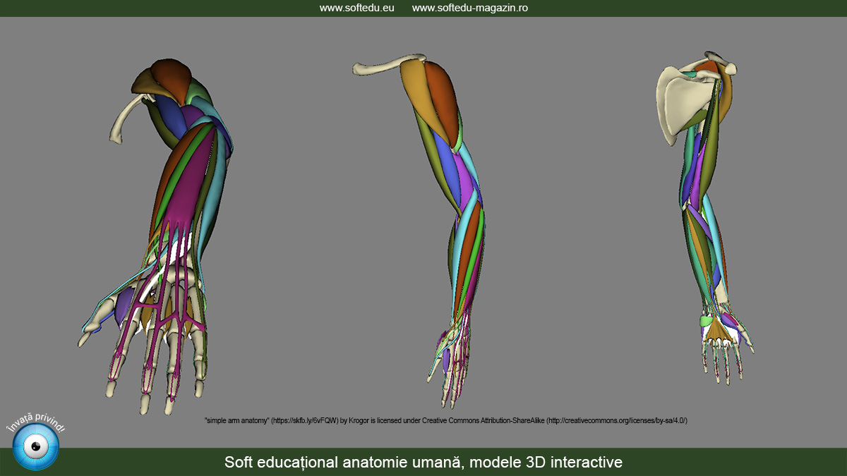 Soft educațional anatomie umană