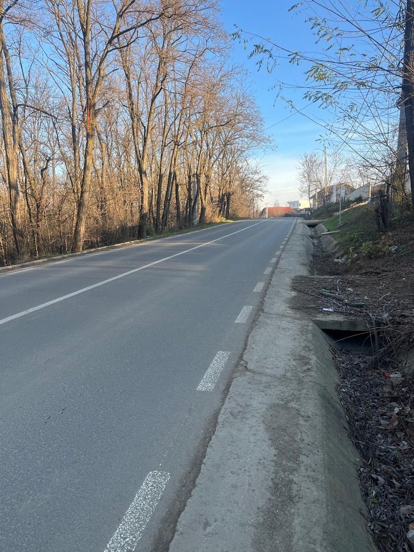 Vând teren în pădure la șoseaua Bârnova.