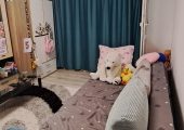 apartament 2 camere decomandat